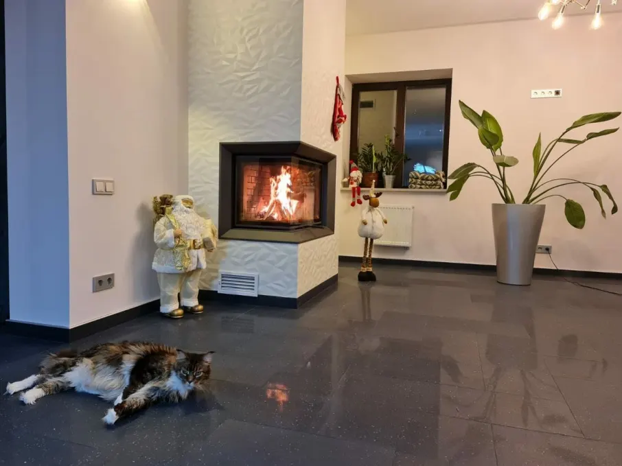 Дымоход на объекте